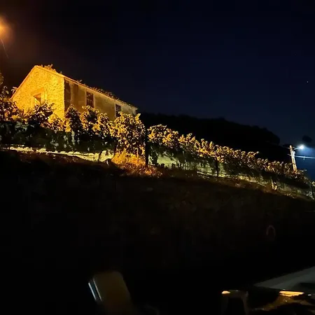 度假居 Casa Da Oliveira 梅骚·弗里奥