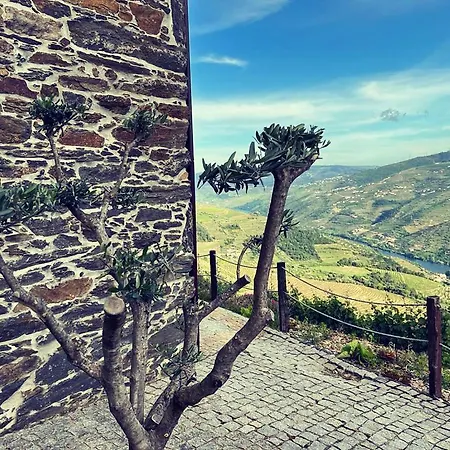 Casa de Férias Casa Da Oliveira *