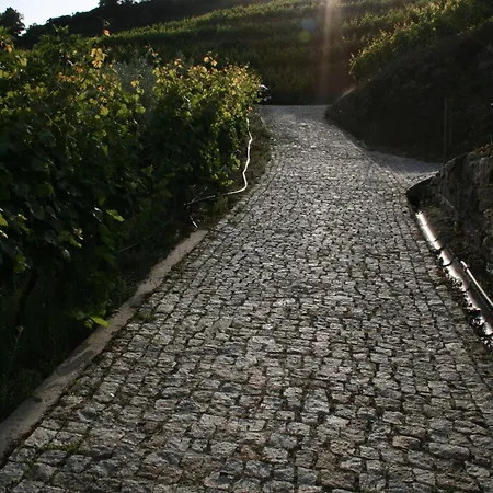 度假居 Casa Da Oliveira *