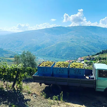 度假居 Casa Da Oliveira 梅骚·弗里奥