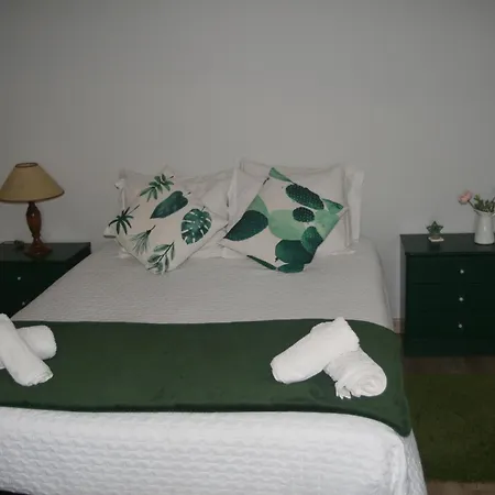 Casa Da Oliveira 梅骚·弗里奥