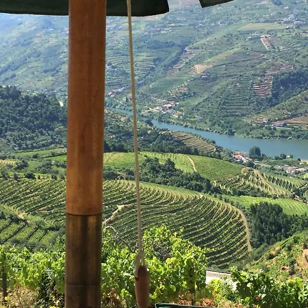 Casa Da Oliveira * Mesão Frio