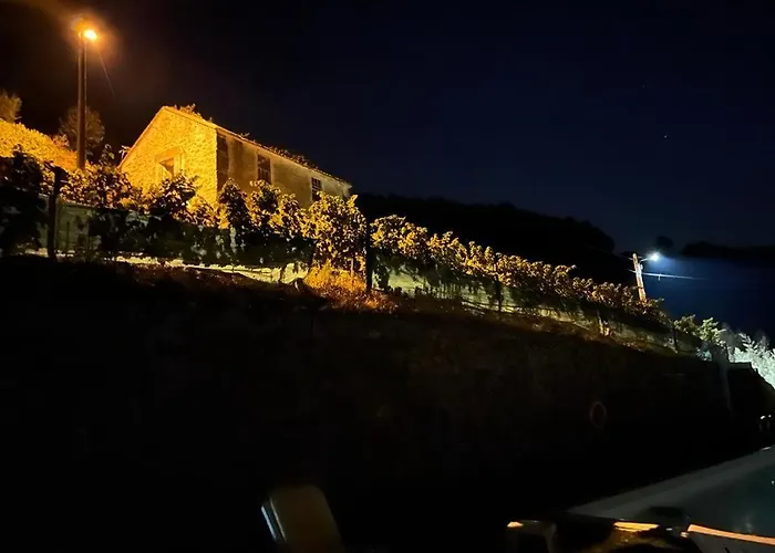 度假居 Casa Da Oliveira 梅骚·弗里奥