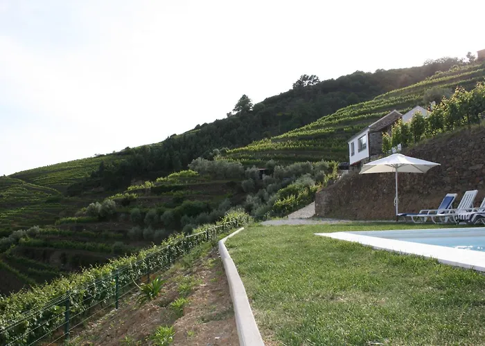 Casa Da Oliveira * 梅骚·弗里奥