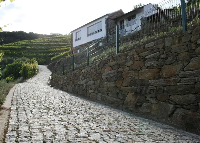 Casa Da Oliveira Prázdninový dům Mesão Frio