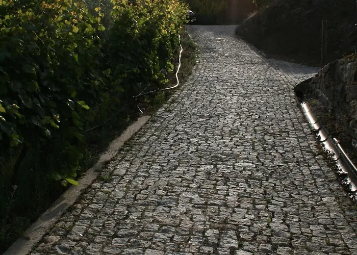 度假居 Casa Da Oliveira *