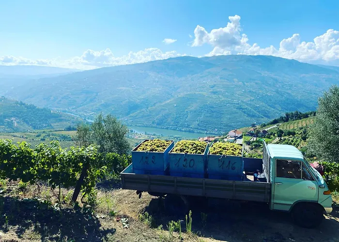 度假居 Casa Da Oliveira 梅骚·弗里奥