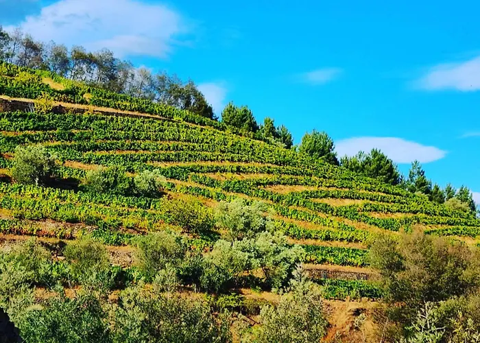 Casa Da Oliveira * Mesão Frio