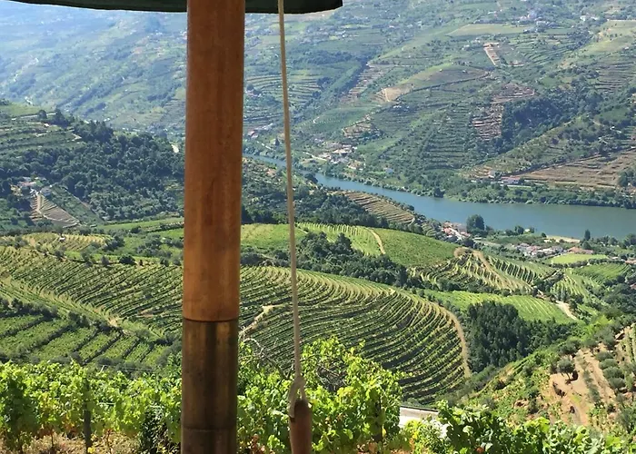 Casa Da Oliveira * 梅骚·弗里奥